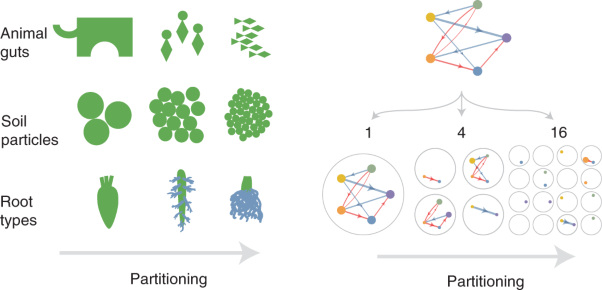 Modulation of microbial community dynamics by spatial partitioning
