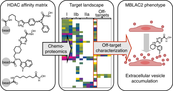 Target deconvolution of HDAC pharmacopoeia reveals MBLAC2 as common off-target