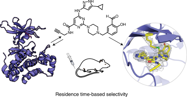 Reversible lysine-targeted probes reveal residence time-based kinase selectivity
