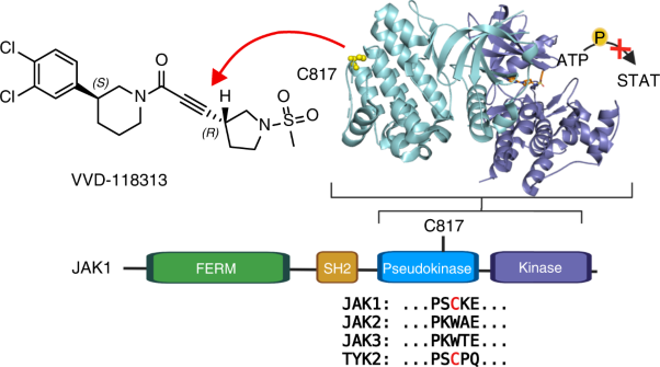 Selective inhibitors of JAK1 targeting an isoform-restricted allosteric cysteine