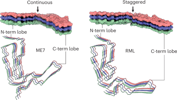 A structural basis for prion strain diversity