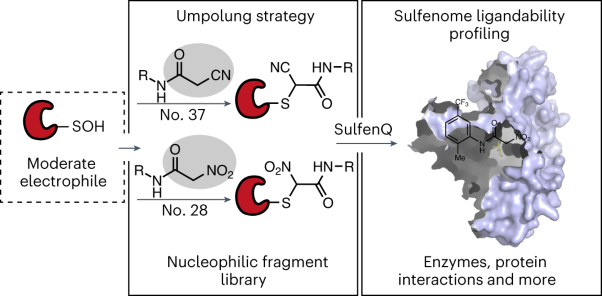 Nucleophilic covalent ligand discovery for the cysteine redoxome