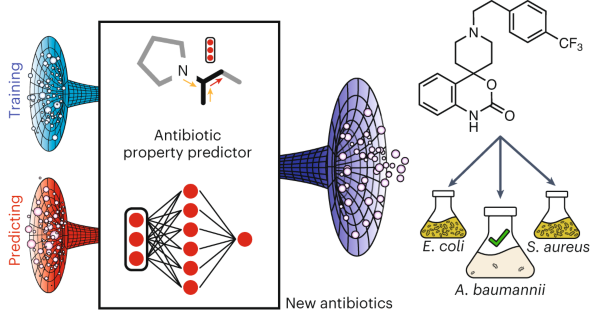 Deep learning-guided discovery of an antibiotic targeting <i>Acinetobacter baumannii</i>