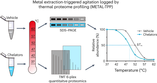 Discovery of metal-binding proteins by thermal proteome profiling