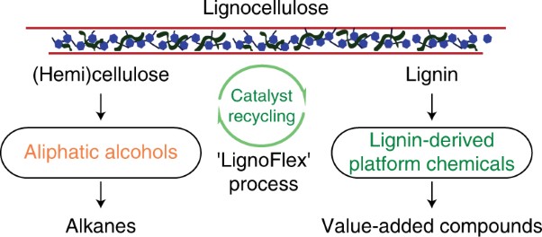 Complete lignocellulose conversion with integrated catalyst recycling yielding valuable aromatics and fuels