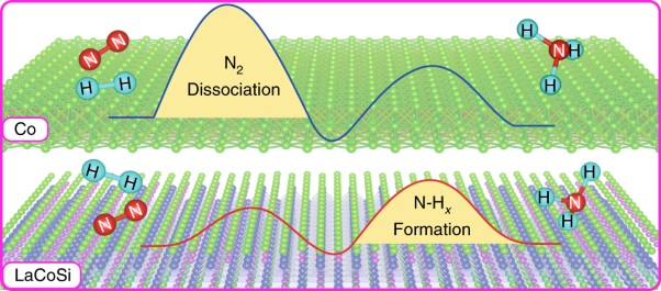 Ternary intermetallic LaCoSi as a catalyst for N<sub>2</sub> activation