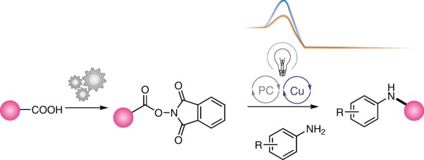 Decarboxylative C(<i>sp</i><sup>3</sup>)–N cross-coupling via synergetic photoredox and copper catalysis