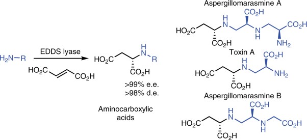 Chemoenzymatic asymmetric synthesis of the metallo-β-lactamase inhibitor aspergillomarasmine A and related aminocarboxylic acids