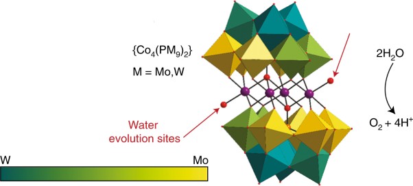 Redox tuning the Weakley-type polyoxometalate archetype for the oxygen evolution reaction