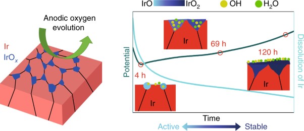 Atomic-scale insights into surface species of electrocatalysts in three dimensions