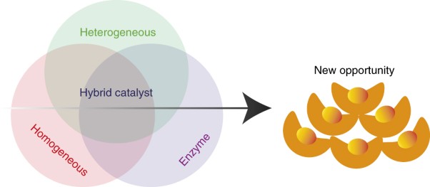 Foundations and strategies of the construction of hybrid catalysts for optimized performances