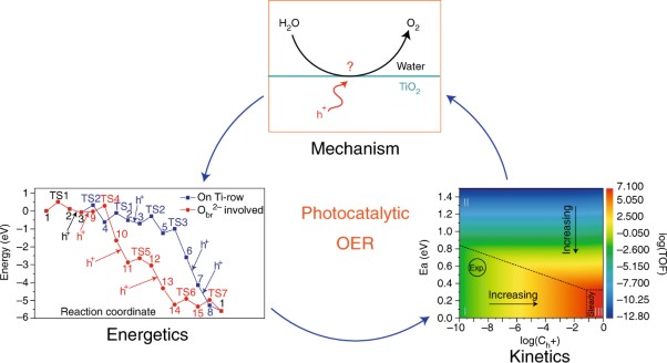 Identifying the key obstacle in photocatalytic oxygen evolution on rutile TiO<sub>2</sub>