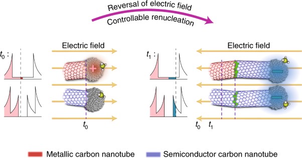 Growing highly pure semiconducting carbon nanotubes by electrotwisting the helicity