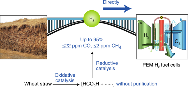 Streamlined hydrogen production from biomass