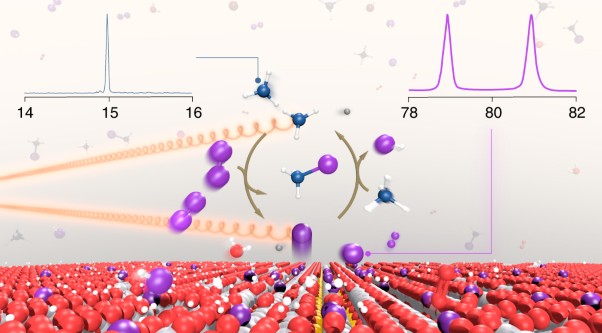 Evidence of radical chemistry in catalytic methane oxybromination