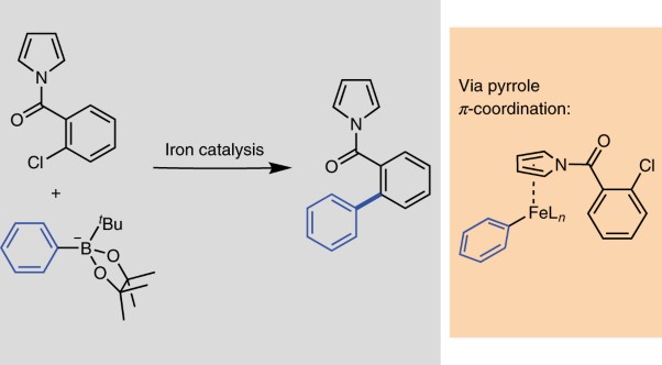 Iron-catalysed substrate-directed Suzuki biaryl cross-coupling