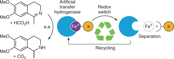 Redox-switchable siderophore anchor enables reversible artificial metalloenzyme assembly