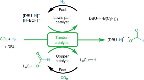 Tandem copper hydride–Lewis pair catalysed reduction of carbon dioxide into formate with dihydrogen