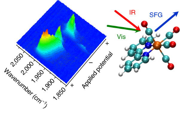 Detection of catalytic intermediates at an electrode surface during carbon dioxide reduction by an earth-abundant catalyst