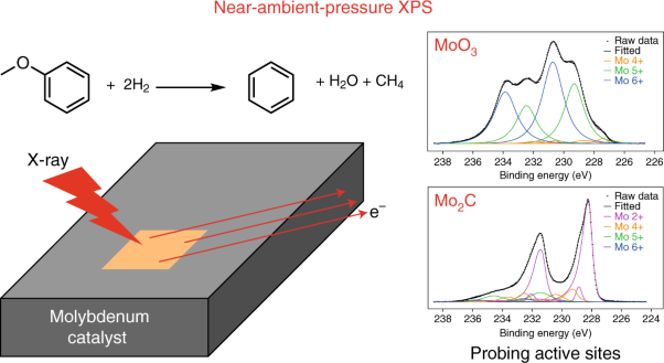 Operando NAP-XPS unveils differences in MoO<sub>3</sub> and Mo<sub>2</sub>C during hydrodeoxygenation