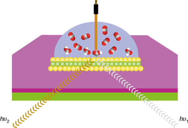 Understanding heterogeneous electrocatalytic carbon dioxide reduction through operando techniques