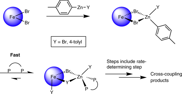 The highly surprising behaviour of diphosphine ligands in iron-catalysed Negishi cross-coupling