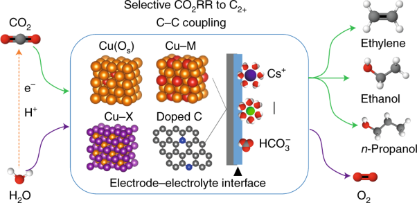 Rational catalyst and electrolyte design for CO<sub>2</sub> electroreduction towards multicarbon products