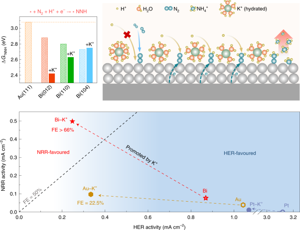 Promoting nitrogen electroreduction to ammonia with bismuth nanocrystals and potassium cations in water