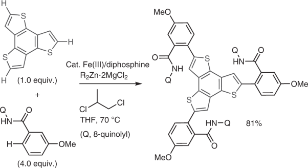 Homocoupling-free iron-catalysed twofold C–H activation/cross-couplings of aromatics via transient connection of reactants