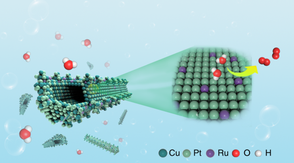 Engineering the electronic structure of single atom Ru sites via compressive strain boosts acidic water oxidation electrocatalysis
