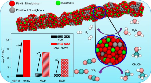 Single-atom tailoring of platinum nanocatalysts for high-performance multifunctional electrocatalysis