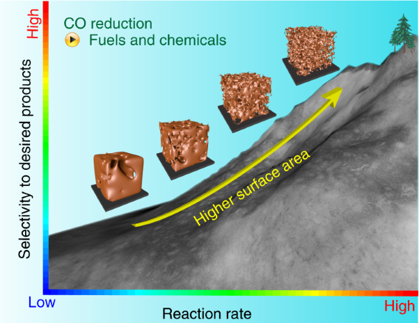 Electrochemically converting carbon monoxide to liquid fuels by directing selectivity with electrode surface area