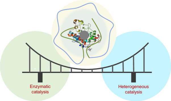 Highly active enzyme–metal nanohybrids synthesized in protein–polymer conjugates