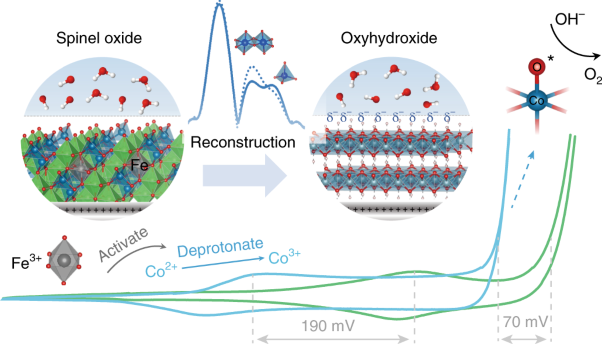 Iron-facilitated dynamic active-site generation on spinel CoAl<sub>2</sub>O<sub>4</sub> with self-termination of surface reconstruction for water oxidation