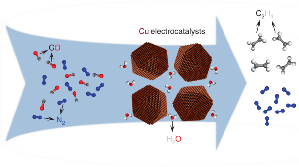Constraining CO coverage on copper promotes high-efficiency ethylene electroproduction