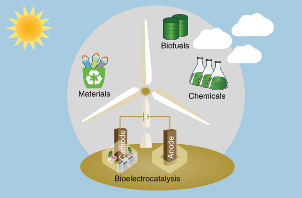 The progress and outlook of bioelectrocatalysis for the production of chemicals, fuels and materials