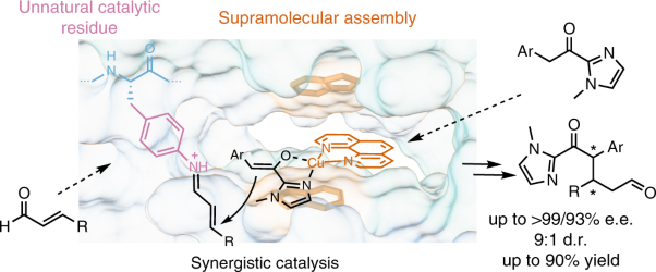 Synergistic catalysis in an artificial enzyme by simultaneous action of two abiological catalytic sites