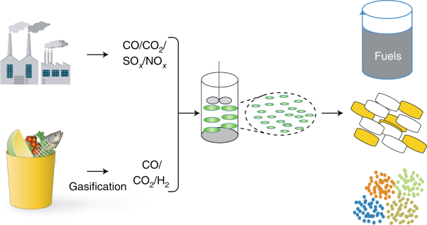 Third-generation biorefineries as the means to produce fuels and chemicals from CO<sub>2</sub>