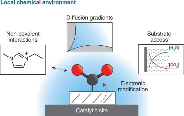 Towards molecular understanding of local chemical environment effects in electro- and photocatalytic CO<sub>2</sub> reduction