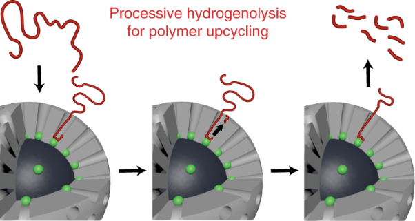 Catalytic upcycling of high-density polyethylene via a processive mechanism