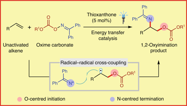 Metal-free photosensitized oxyimination of unactivated alkenes with bifunctional oxime carbonates