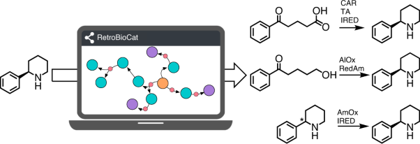RetroBioCat as a computer-aided synthesis planning tool for biocatalytic reactions and cascades