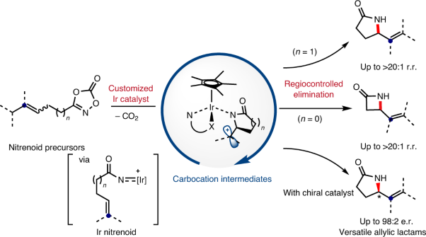 Catalytic access to carbocation intermediates via nitrenoid transfer leading to allylic lactams