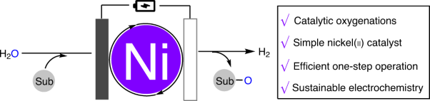 Electrochemically induced nickel catalysis for oxygenation reactions with water