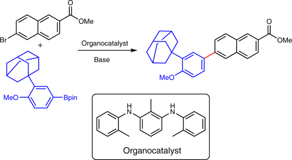 RETRACTED ARTICLE: The amine-catalysed Suzuki–Miyaura-type coupling of aryl halides and arylboronic acids