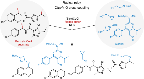 Copper-catalysed benzylic C–H coupling with alcohols via radical relay enabled by redox buffering