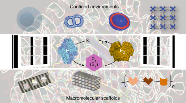 Biocatalytic cascades operating on macromolecular scaffolds and in confined environments