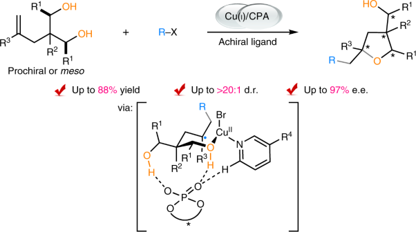 Catalytic enantioselective desymmetrizing functionalization of alkyl radicals via Cu(<span class="small-caps u-small-caps">i</span>)/CPA cooperative catalysis