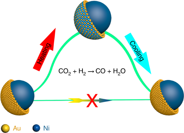 Reversible loss of core–shell structure for Ni–Au bimetallic nanoparticles during CO<sub>2</sub> hydrogenation