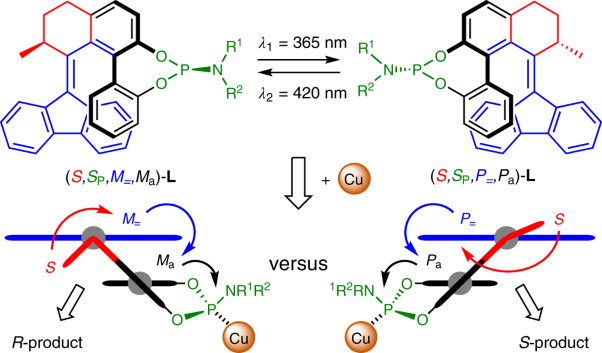 Phosphoramidite-based photoresponsive ligands displaying multifold transfer of chirality in dynamic enantioselective metal catalysis
